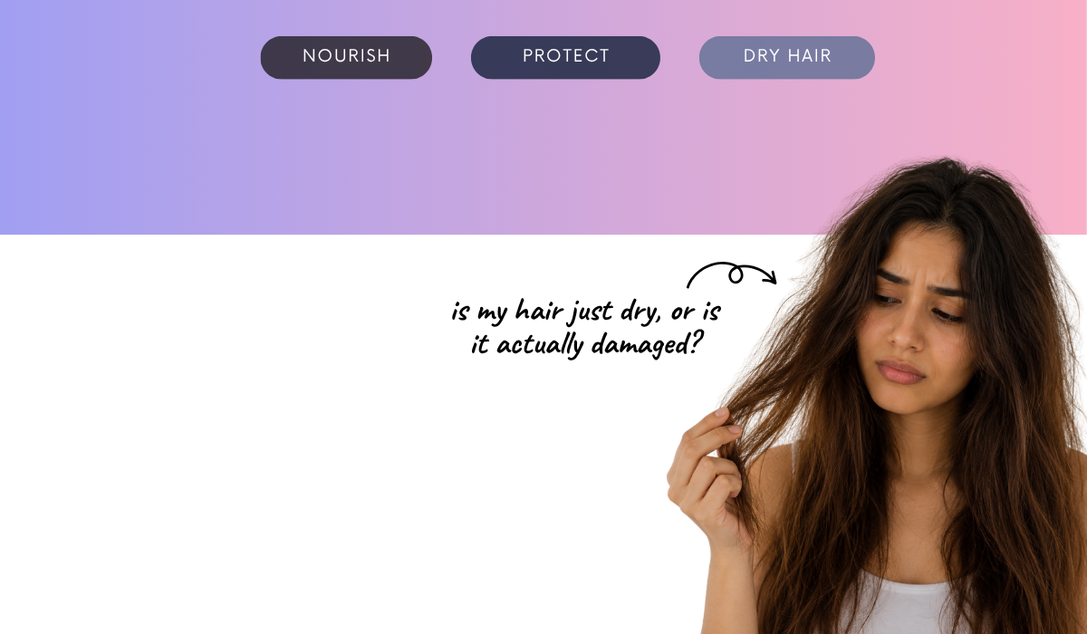 Is my hair just dry, or is it actually damaged? How do I know what it really needs?