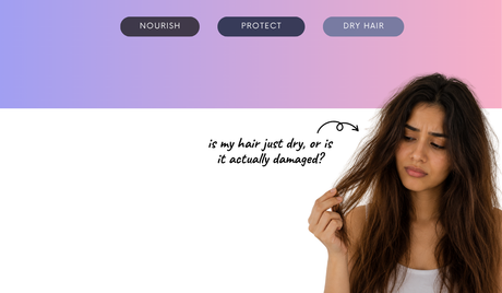 Is my hair just dry, or is it actually damaged? How do I know what it really needs?