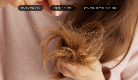 Did You Know? The Best Time to Repair Your Hair Is Before the Festive Season, Not After