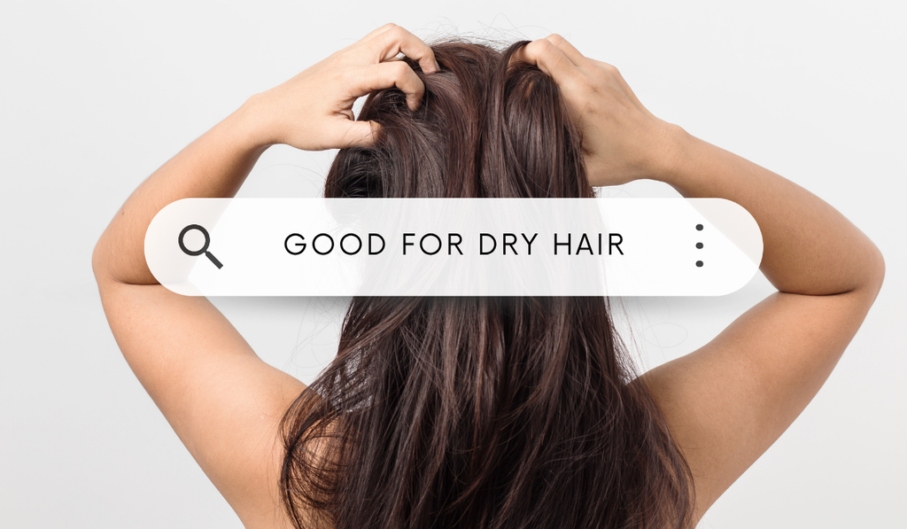 What Kind of Shampoo Is Good for Dry Hair?