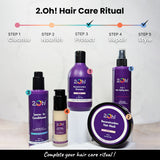 Protect & Style Combo:  Leave In Conditioner and Hair Stying Spray