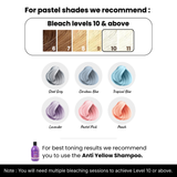 Steel Grey DIY Combo : Hair Bleach Kit + Semi Permanent Hair Color