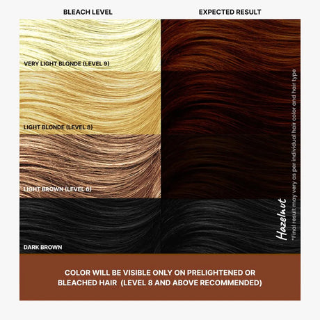 Different Shades of Hazelnut Brown