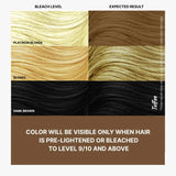 Different shades of Toffee Brown