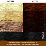Different shades of Hazelnut Brown