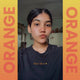 Orange DIY Combo : Hair Bleach Kit + Semi Permanent Hair Color